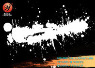 Do processo branco industrial do cloreto do pigmento do no. 236-675-5 de ElNECS dióxido Titanium